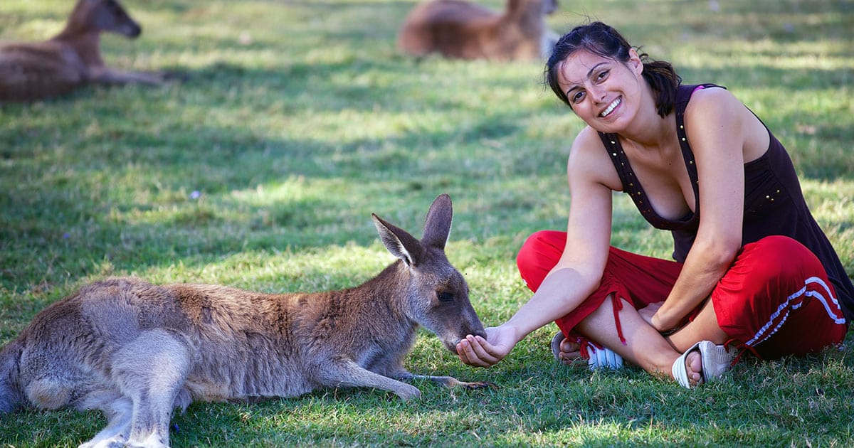 Young woman feeding a kangaroo